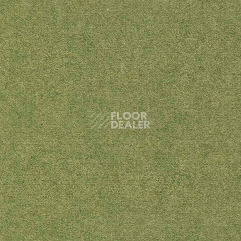 Ковролин Finett Feinwerk 603503 фото 1 | FLOORDEALER
