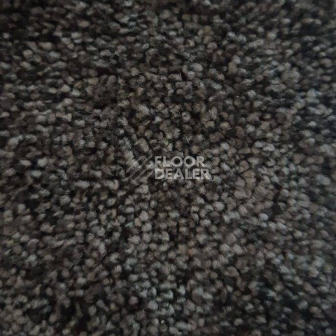 Ковролин Condor Carpets Dynasty 94 фото 1 | FLOORDEALER