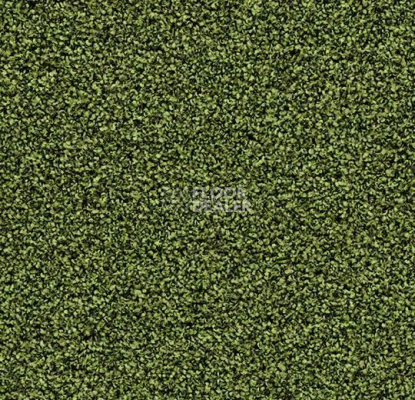 Грязезащитные покрытия Forbo Coral Bright 2608 Fresh Grass фото 1 | FLOORDEALER