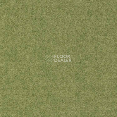 Ковролин Finett Feinwerk 603503 фото 1 | FLOORDEALER