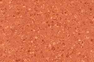 Линолеум Grabo Fortis Coral фото  | FLOORDEALER