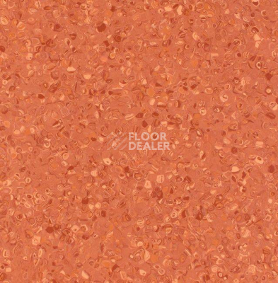 Линолеум Grabo Fortis Coral фото 1 | FLOORDEALER