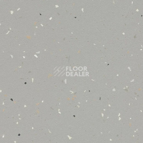 Линолеум Forbo SureStep Star 176482 greige фото 1 | FLOORDEALER