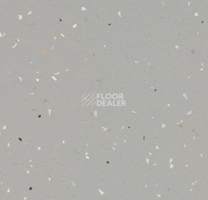 Линолеум Forbo SureStep Star 176482 greige фото 1 | FLOORDEALER