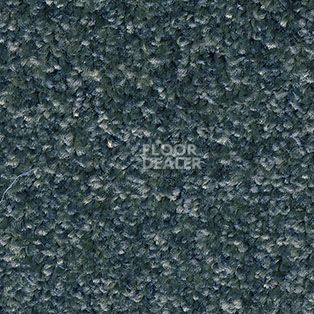 Ковролин AW Gala Equator 77 фото 1 | FLOORDEALER