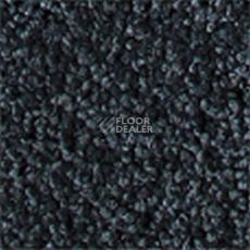 Ковролин Girloon Prestige 590 фото 1 | FLOORDEALER