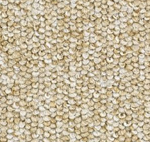 Ковролин Balsan Centaure 2000 Centaure 640 фото 1 | FLOORDEALER