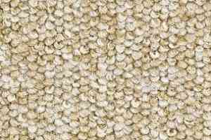 Ковролин Balsan Centaure 2000 Centaure 640 фото  | FLOORDEALER