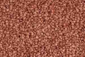 Ковролин Balsan Bolero roll 550 фото  | FLOORDEALER