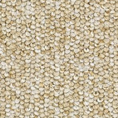 Ковролин Balsan Centaure 2000 Centaure 640 фото 1 | FLOORDEALER