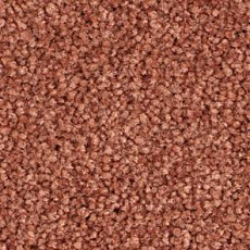 Ковролин Balsan Bolero roll 550 фото 1 | FLOORDEALER