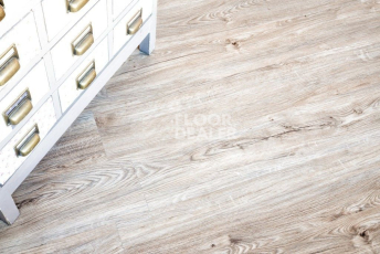 Alpine Floor Sequoia (LVT) Секвойя Классик ЕСО 6-10 LVT фото 3 | FLOORDEALER