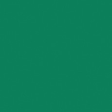 Линолеум Tarkett Omnisports Action 40 Field Green фото 1 | FLOORDEALER