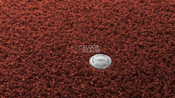 Ковролин Vorwerk Superior 1041 Vorwerk 1n25 фото 1 | FLOORDEALER