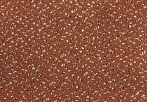 AW Magma 84 фото 2 | FLOORDEALER