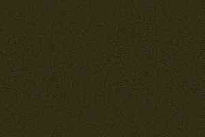 Ковролин Forbo Showtime Nuance 900218 фото  | FLOORDEALER