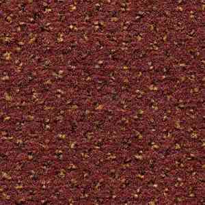 Ковролин CONDOR Carpets Argus 239 фото ##numphoto## | FLOORDEALER