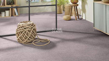 Vorwerk Superior 1065/Viola Vorwerk 3q68 фото 2 | FLOORDEALER