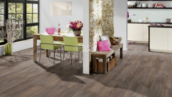 Terhurne Trend Line 243мм 1972 Дуб Дымчато - Серый 1101021711 фото 4 | FLOORDEALER