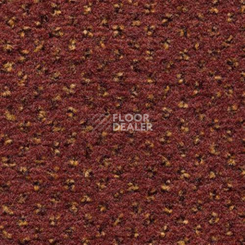 Ковролин Condor Carpets Argus 239 фото 1 | FLOORDEALER