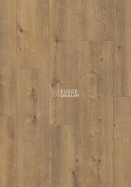 Ламинат ALix Floor Vitality Line 244/8мм Дуб урбанистический ALX00426JUM фото 1 | FLOORDEALER