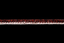 Big  Studio 443 фото 3 | FLOORDEALER