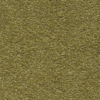 Ковролин AW Invictus Scorpius 21 фото 1 | FLOORDEALER