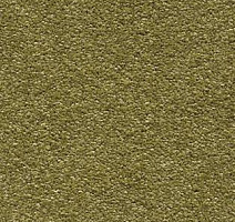 Ковролин AW Invictus Scorpius 21 фото 1 | FLOORDEALER