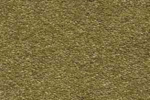 Ковролин AW Invictus Scorpius 21 фото  | FLOORDEALER