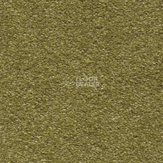 Ковролин AW Invictus Scorpius 21 фото 1 | FLOORDEALER