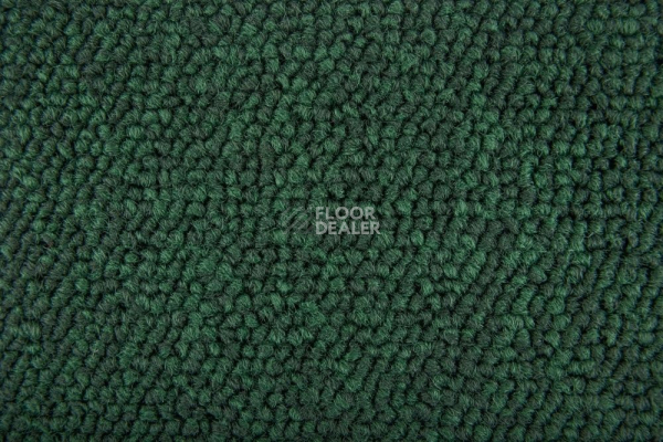 Ковровая плитка Standard Carpets Spectrum sm 566 фото 1 | FLOORDEALER