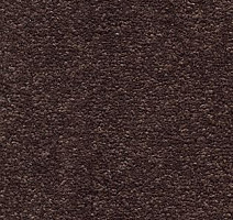 Ковролин AW Tresor 40 фото 1 | FLOORDEALER