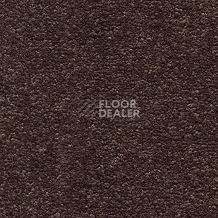 Ковролин AW Tresor 40 фото 1 | FLOORDEALER