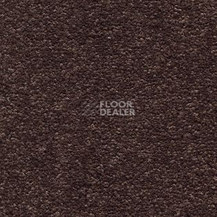 Ковролин AW Tresor 40 фото 1 | FLOORDEALER