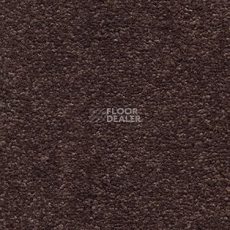 Ковролин AW Tresor 40 фото 1 | FLOORDEALER