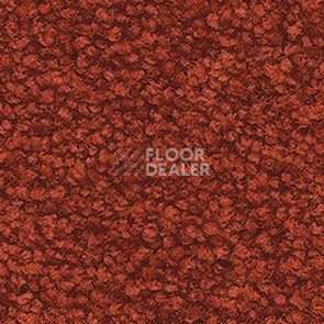 Ковролин Balsan Les First Les First 480 фото 1 | FLOORDEALER