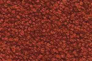 Ковролин Balsan Les First Les First 480 фото  | FLOORDEALER