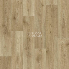Линолеум Tarkett Absolut HELFORD 2 фото 1 | FLOORDEALER