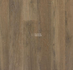Forbo SureStep Wood Decibel 71891 фото 1 | FLOORDEALER