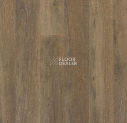 Линолеум Forbo SureStep Wood Decibel 71891 фото 1 | FLOORDEALER