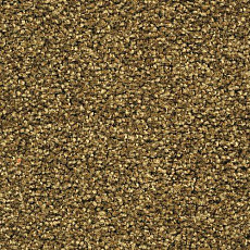 Ковровая плитка Forbo Sharepoint 1181 фото 1 | FLOORDEALER