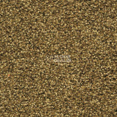 Ковровая плитка Forbo Sharepoint 1181 фото 1 | FLOORDEALER