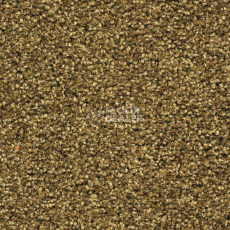 Ковровая плитка Forbo Sharepoint 1181 фото 1 | FLOORDEALER