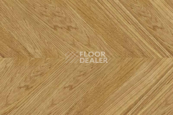 Пробковое покрытие Chevron Chevron Gold фото 1 | FLOORDEALER
