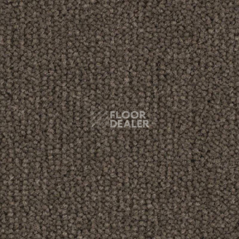 Ковролин Balsan Luxe 773 фото 1 | FLOORDEALER