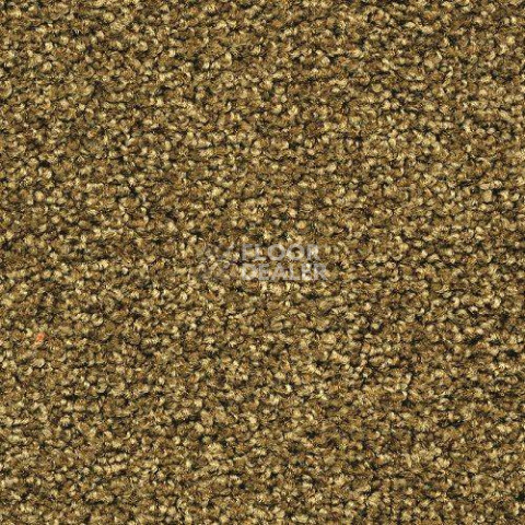 Ковровая плитка Forbo Sharepoint 1181 фото 1 | FLOORDEALER