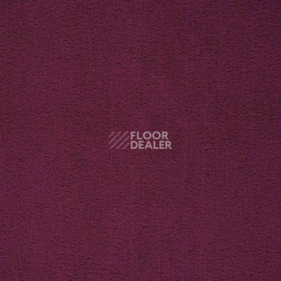 Ковролин Balta ITC Prominent 16 фото 1 | FLOORDEALER