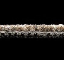 AW Maxima 37 фото 6 | FLOORDEALER