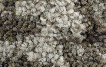 Balsan Carre Couture 600 Cesar фото 5 | FLOORDEALER