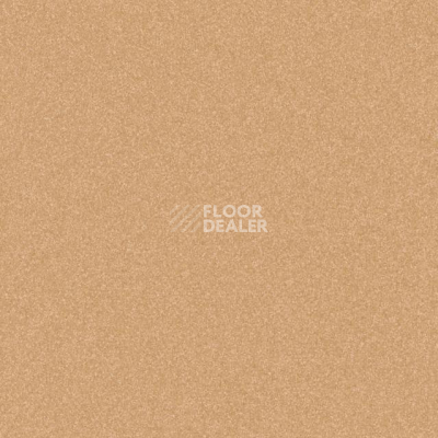 Линолеум Tarkett iq Melodia 2620 фото 1 | FLOORDEALER